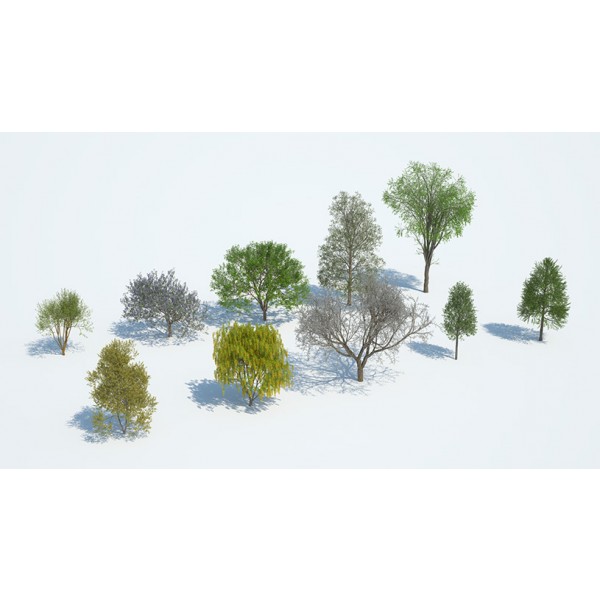 Laubwerk Plants Kit 10 – Temperate Deciduous Trees 2